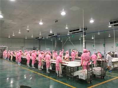 秦巴沃土育珍馐,科技赋能兴羊业——南江黄羊产业的生态密码与升级之路